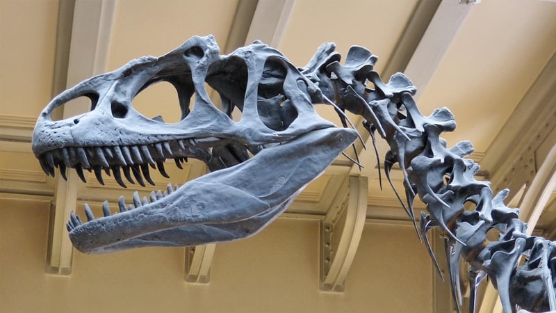 Dinosaur in Mesozoic Era
